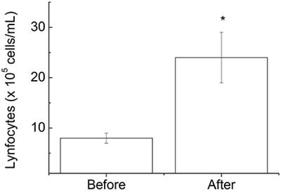 The Effect of a Competitive Futsal Match on T Lymphocyte Surface Receptor Signaling and Functions